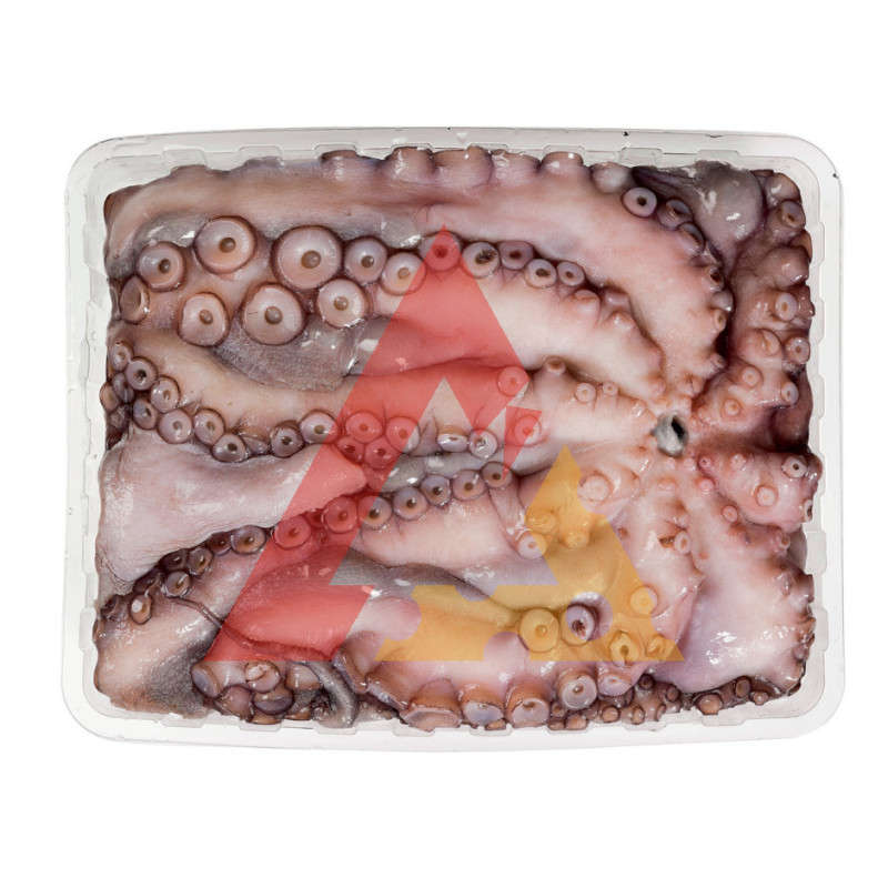 Polvo 3/4 Kg (Cuvete) 