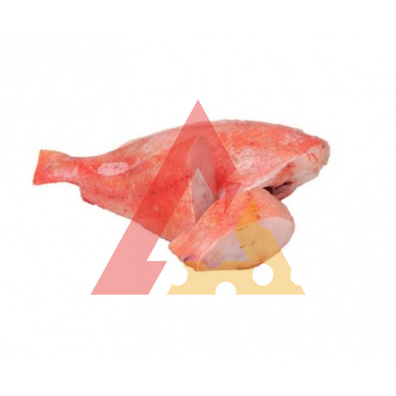 Red Fish M Aparado E/I