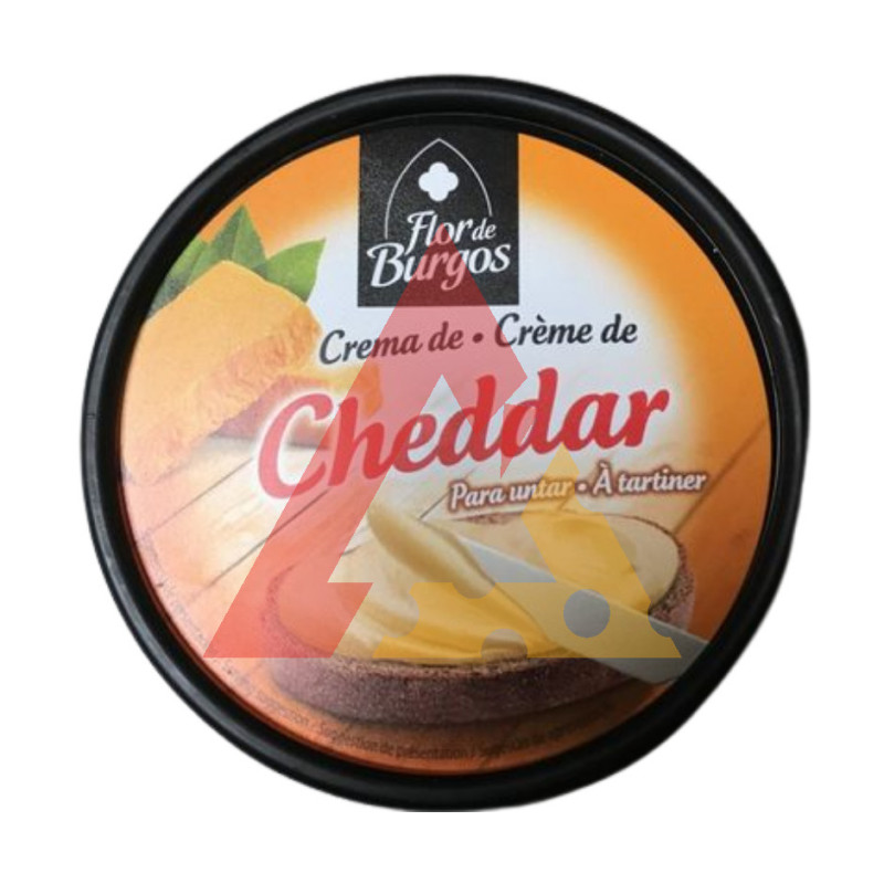 Creme Queijo Cheddar