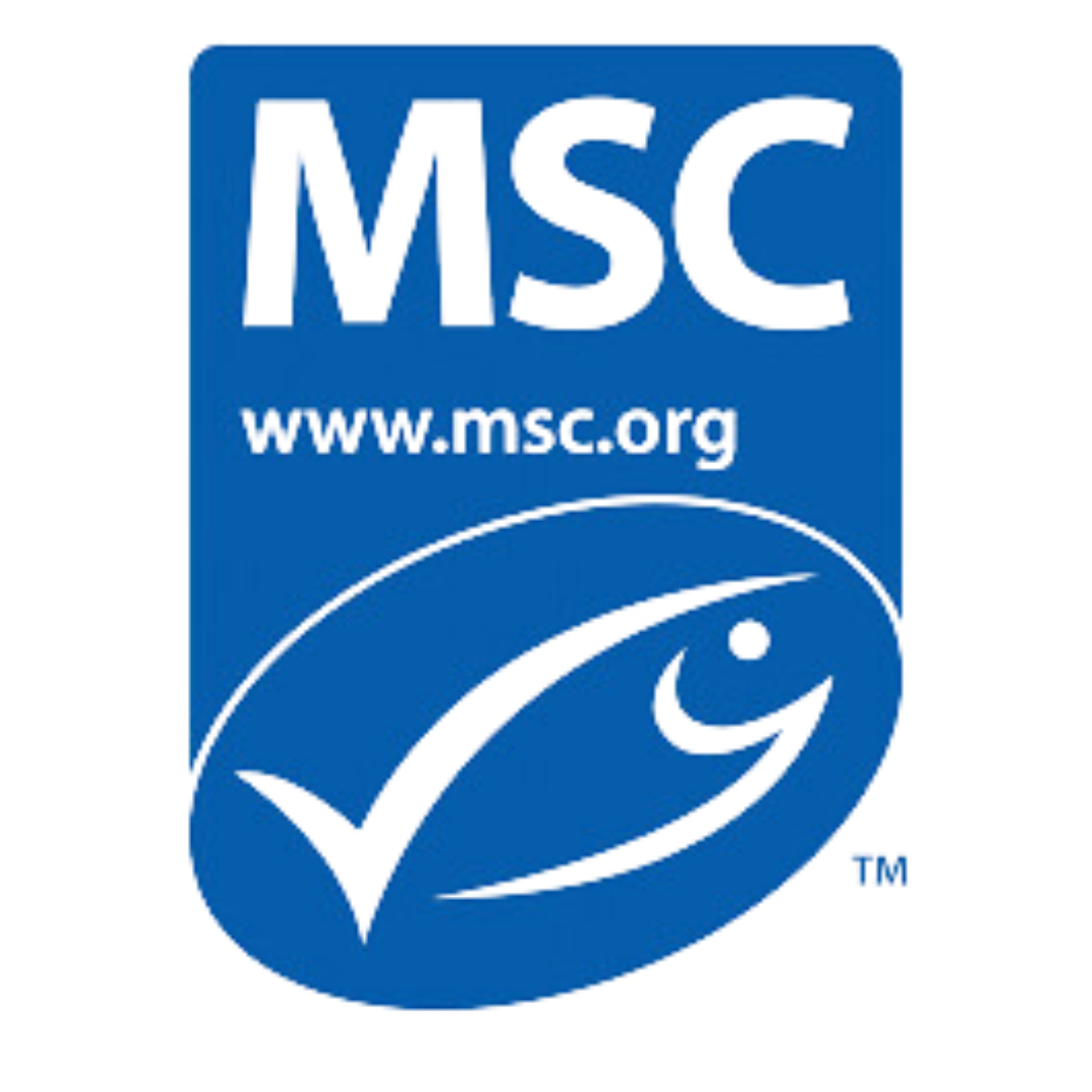 MSC