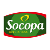 Socopa